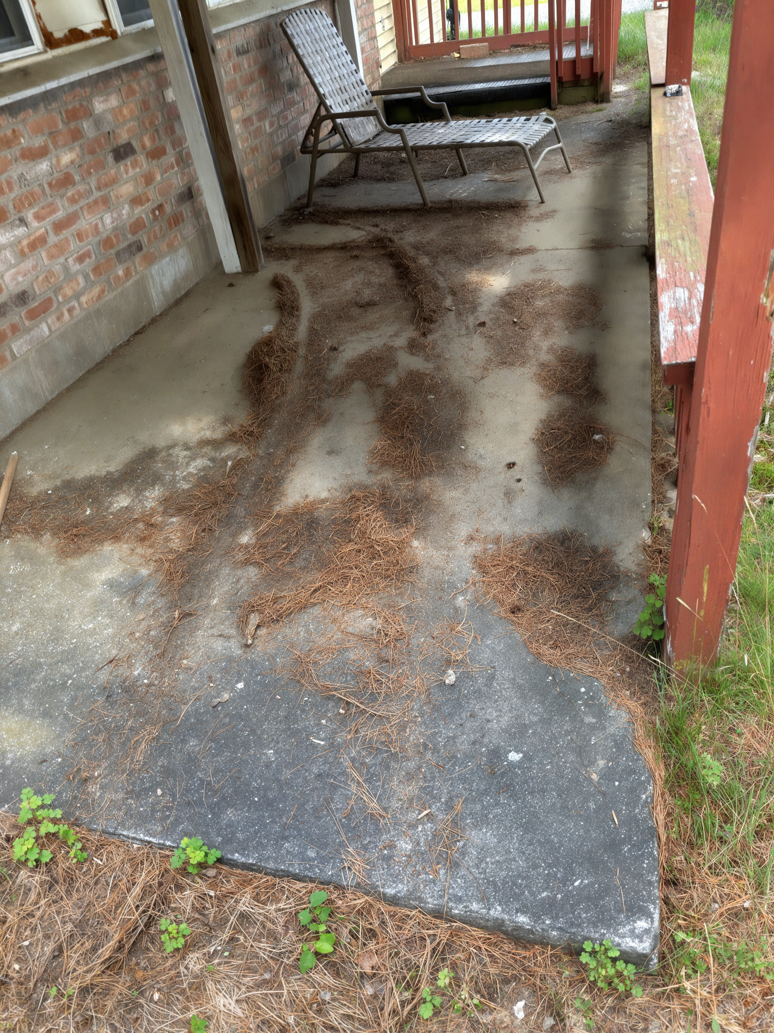 Before: porch covered in pine needles and dirt, Mt. Pleasant area