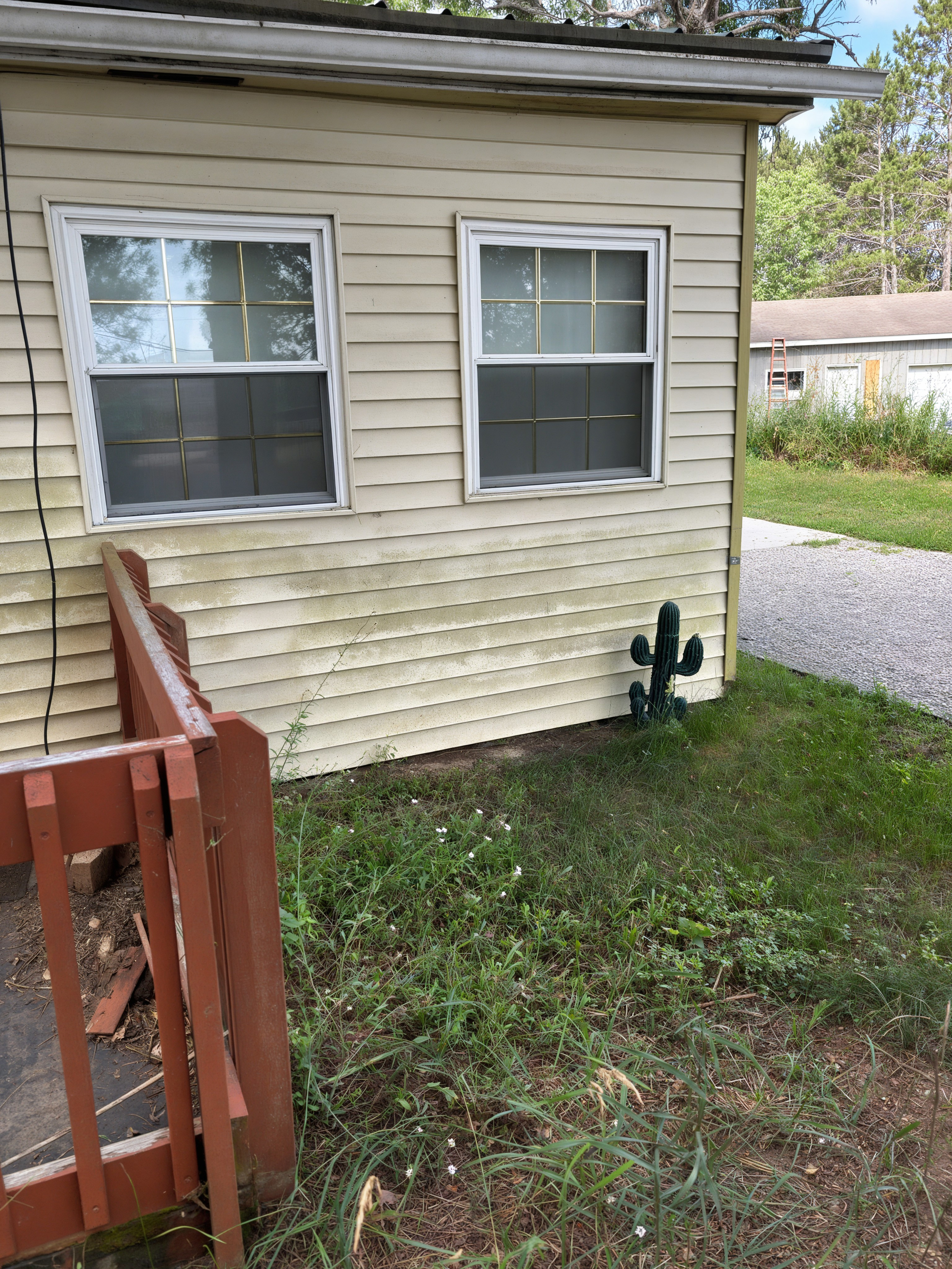 Before: house siding with green algae growth, Mt. Pleasant area